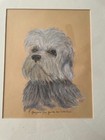Collectible Dandie Dinmont Terrier items 2 paintings by Doris Breuler
