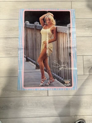 Shawn Michaels and Sunny 30x22 Two Sided Poster Photo WWF WWE Rare - Image 1 of 2