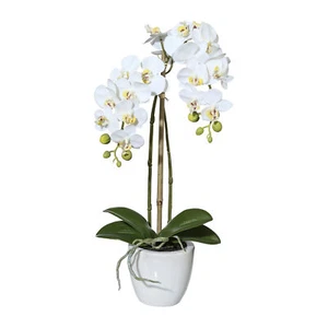 Miniphalaenopsis, circa 43 cm bianco, in vaso di ceramica 9,5 x 9 cm bianco, Real Touch Kunstpfl - Foto 1 di 2