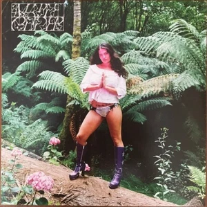 MAPLE GLIDER I GET INTO TROUBLE  LP  NEON PINK VINYL MINT - Picture 1 of 2