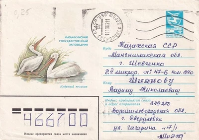 G016 Russia 1983 birds pelicans cover - Image 1 of 2