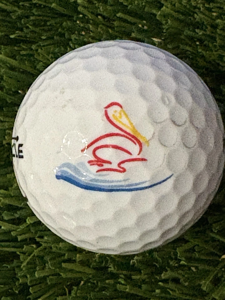 Pelota de golf con logotipo de club de golf Pelican’s Nest - Bonita Springs Florida FL Foto 1 de 1