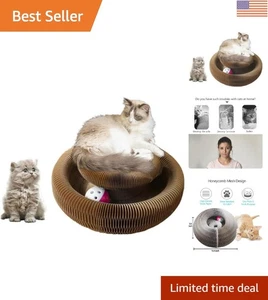 Tabla rascadora ecológica para gatos con bola interactiva para gatos juguetones - Imagen 1 de 8