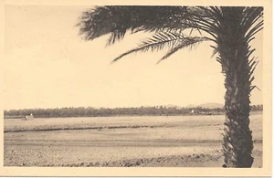 BISKRA - EL KHELOUA - " LE SOLITAIRE " - ALGERIA - - Bild 1 von 1