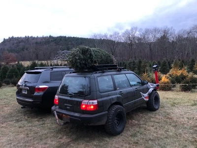 Suportes de elevação inferiores Subaru Forester 2,5" 1998-2008 - Imagem 1 de 2