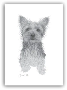 YORKSHIRE TERRIER DOG GREETINGS CARD - From Original Drawing By Joanne T Kell - Picture 1 of 1