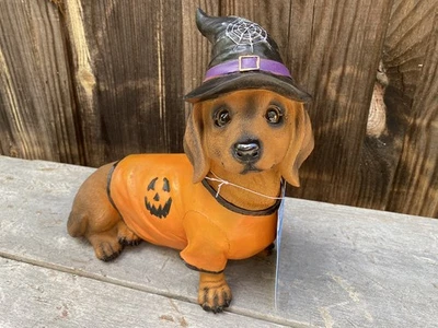 Cuidador de brujas Dachshund Halloween con sombrero y camisa Weenie amantes de los perros divertido Foto 1 de 4