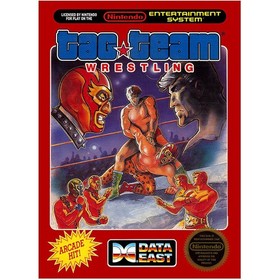 Tag Team Wrestling (NES) Cart Only