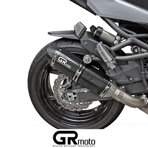 Auspuff für Kawasaki Klz 1000 Versys 2019 - 2023 GRmoto Carbon