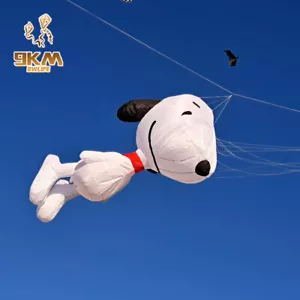 9KM 3,5m Línea de cometa para perro Lavandería suave inflable 30D Ripstop Tela de nailon con bolsa - Imagen 1 de 5