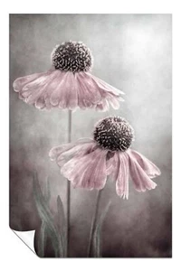 Poster artistico pittorico fiore elenio rosa pastello arte da parete decorazione casa - Foto 1 di 4