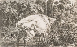 C. KOLBE (1757-1835), Badende Kuh, um 1790, Radierung Realismus Tiere 1750-1799 - Picture 1 of 4