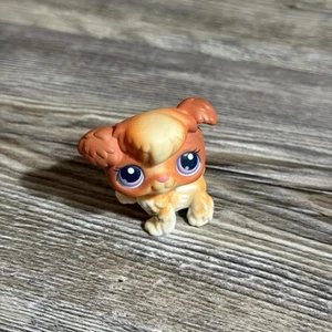 Hasbro Littlest Pet Shop LPS #37 Pudel Hund braun weiß lila 2004 - Bild 1 von 6