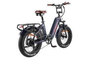 FAFREES F20 Master 48V 22,5AH Elektrofahrrad Cargo E-Bike 20*4Zoll EMountainbike - Bild 1 von 14