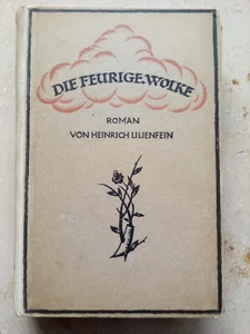 Die feurige Wolke - Roman von Heinrich Lilienfein - 1920 Cotta'sche Buchhandler - Bild 1 von 5