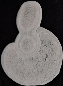 CALCITE CONCRETION, FAIRY STONE 19 X 14 CM, TOP! PIERRE-DE-FÉE, QUEBEC, CANADA - Picture 1 of 2