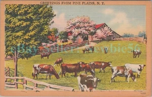 Pine Plains NY - ESCENA DE GRANJA DE SALUDOS - Tarjeta postal de saludos vacas - Imagen 1 de 2