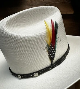 STETSON & RESISTOL ORIGINAL CLASSIC COLORED COWBOY HAT FEATHER - Picture 1 of 5