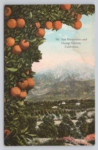 Post Card Mt. San Bernardino And Orange Groves California O362 - Picture 1 of 2