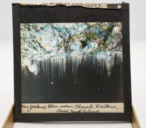 Vintage NZ Govt Magic Lantern Kodak glass plate (No: 30/44). GLOW WORM THREADS. - Bild 1 von 3