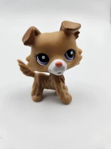 Littlest Pet Shop (LPS) Collie 2452 from Wave 5 Blind Bags Authentic Rare - Picture 1 of 9