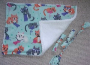 catnip cozy blanket
