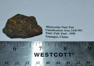 N4 20 grams NanTan Meteorite Classification Iron IAB-MG China - Picture 1 of 2