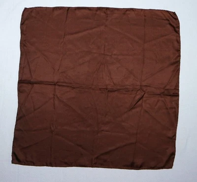 Cuadrado de bolsillo de seda marrón grande ASHEAR para hombre 19 X 19 EXC Foto 1 de 4