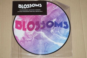 Blossoms ‎-Live From Portmeirion Town Hall, Festival No. 6- 10" Picture Disc  - Picture 1 of 1