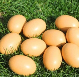 Fake Nest Eggs Wooden Brown Easter Eggs for Craft Get Hens to Lay Eggs 6Pcs - Picture 1 of 8