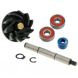 KIT REVISIONE POMPA ACQUA PIAGGIO HEXAGON LXT LX 125 150 180 GILERA RUNNER FXR - Imagen 1 de 1