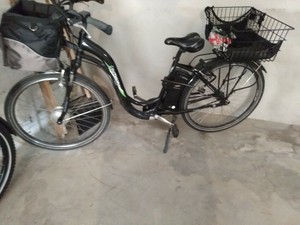 Pedelec Prophete > Didi THURAU Edition < E-Bike