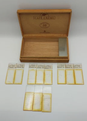 Prepared Specimen Microscope Slides in a Vintage Wooden Cigar Box - Image 1 of 4