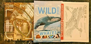 Evolve #32 (Summer 2017) Wild World #21 NHM Magazines Colouring Mindfulness - Bild 1 von 8