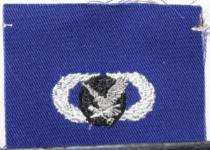 Insignia de suministros básicos y combustibles de la Fuerza Aérea de los Estados Unidos insignia parche de fatiga azul obsoleto - Imagen 1 de 1