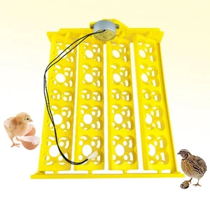 Automatisches Eier-Inkubator-Tablett, Eierwender, Tablett, Geflügel für - Picture 1 of 7