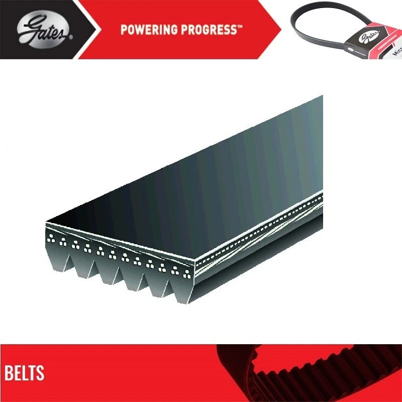 Portões de cinto Serpentine para 1993-1995 Ford Taurus V6-3.0L - Imagem 1 de 4