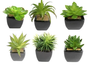 Kaktus 15 cm in schwarzen Dekotopf PF Kunstpflanzen künstlicher Kaktus Kakteen - Bild 1 von 16