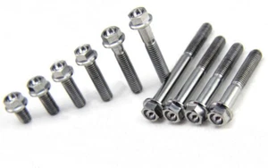 4 PCS M8 x10-50mm Ti GR5 Titanium Hex Concave Head Flange Bolts For Motorcycle - Picture 1 of 4