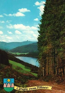 Alte AK Titisee Hochschwarzwald Blick Zum Feldberg Wald Deutschland - Bild 1 von 2
