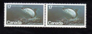 CANADA - 1980 sc#853 Atlantic Whitefish (Coregonus canadensis) Single Pair - Picture 1 of 1