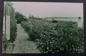 Undated France Postcard-St Vincent-Clemenceau's Vendée Unused - Picture 1 of 2