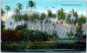 COCOANUT PALMS Hawaii HI c1924 - Postal - Imagen 1 de 2