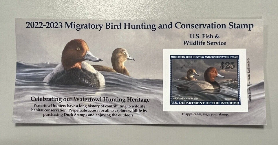US RW89a Migratory Birds Redhead Duck $25 souvenir sheet MNH 2022-2023 - Image 1 of 1