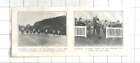 1902 Goodwood, Mauvezin, Gewinner des Stewards Cup, Richmond Stakes, Mead