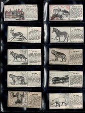 Lot 10 Ty-phoo Typoo Tea Cards - 8 Animals, 2 Buildings - Good to Excellent Cond