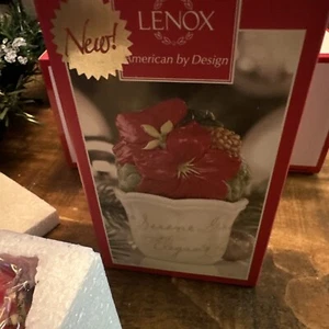 Lenox WINTER MEADOW Christmas Flower Pot Salt and Pepper Set Holiday Poinsietta - Picture 1 of 2