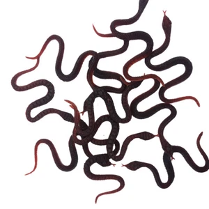 5PC Realistic Fake Rubber Toy Snake Black Fake Snakes That Look Real Prank Stuff - Picture 1 of 5