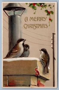 Birds Sparrows Snow Holly Berries Christmas Embossed Postcard 1908 - Picture 1 of 2