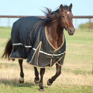 Classic Equine 5K Cross Trainer Winterdecke - Bild 1 von 3
